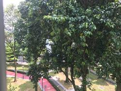 Blk 605 Clementi West Street 1 (Clementi), HDB 5 Rooms #151243722